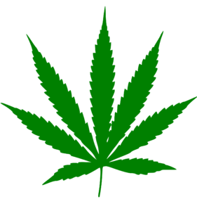 medicinal cannabis, an update at www.maheshjayaram.com