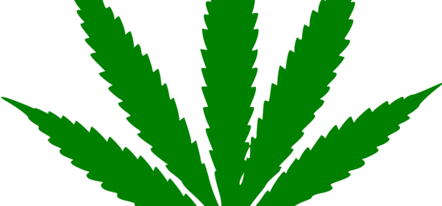 Medical Cannabis – an update